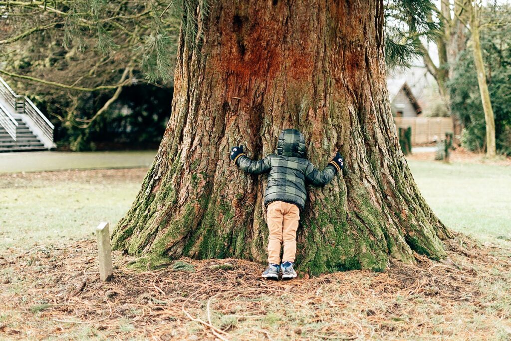 enfant joue cache-cache