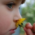 Sentez moi cette fleur