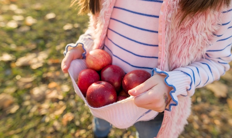 fille pommes