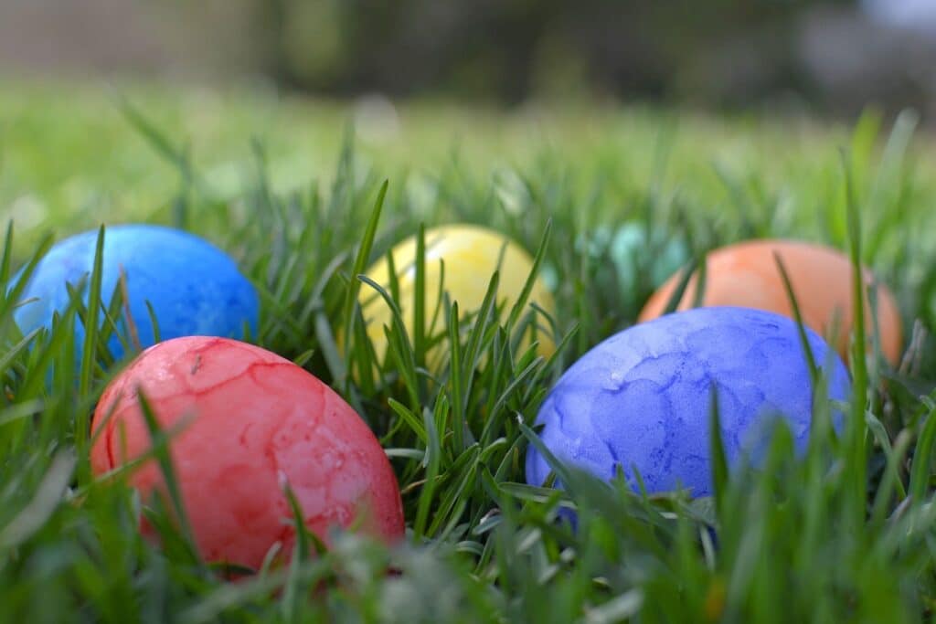 oeufs de pâques dans l'herbe