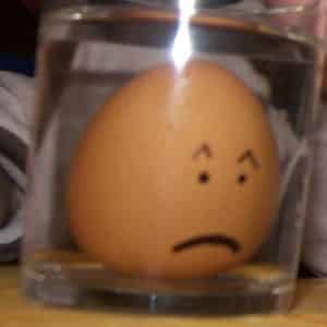 expérience oeuf
