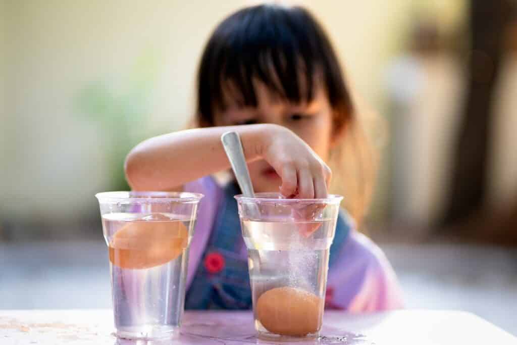 expérience oeuf qui flotte