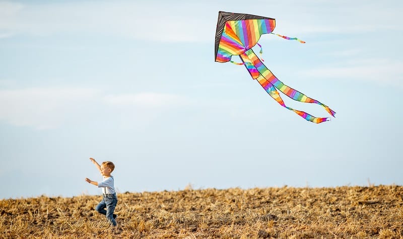 Les cerfs-volants – Institut Confucius de La Rochelle