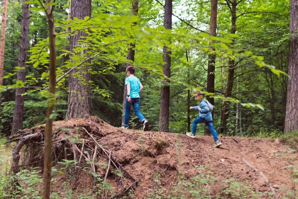 jeux en forêt