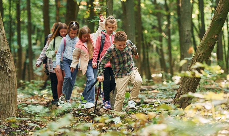 jeux à faire en forêt