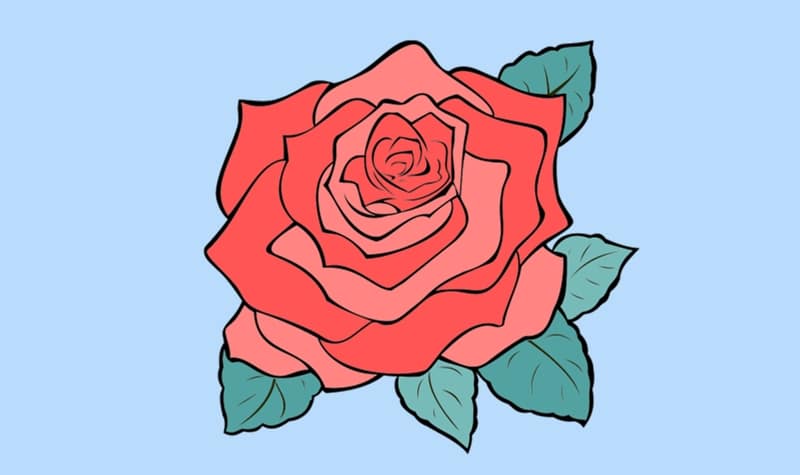 coloriage rose