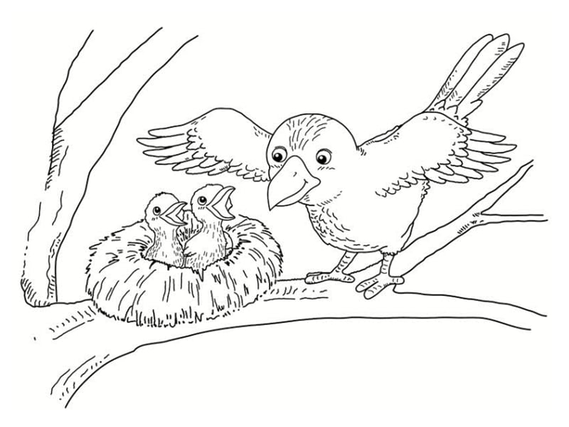 Coloriages d'automne à imprimer gratuitement