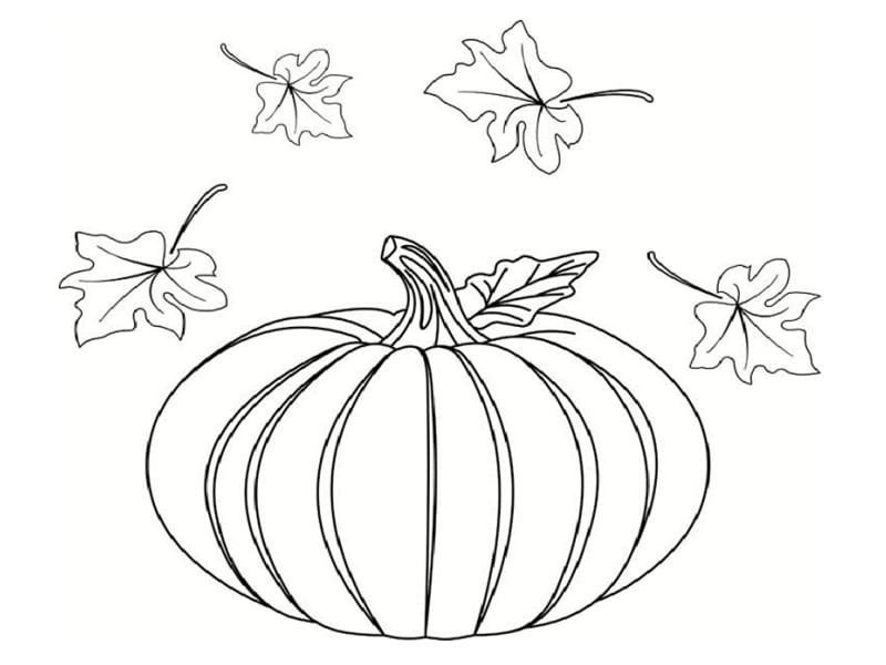 Coloriages d'automne à imprimer gratuitement