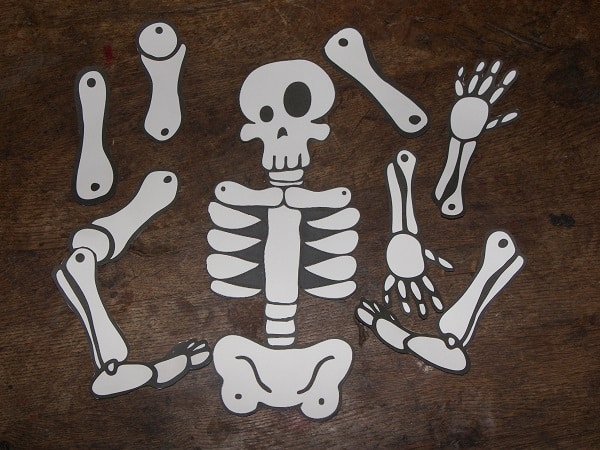 fabriquer squelette