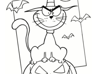 dessin citrouille