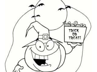 dessins citrouille