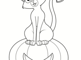 citrouille halloween