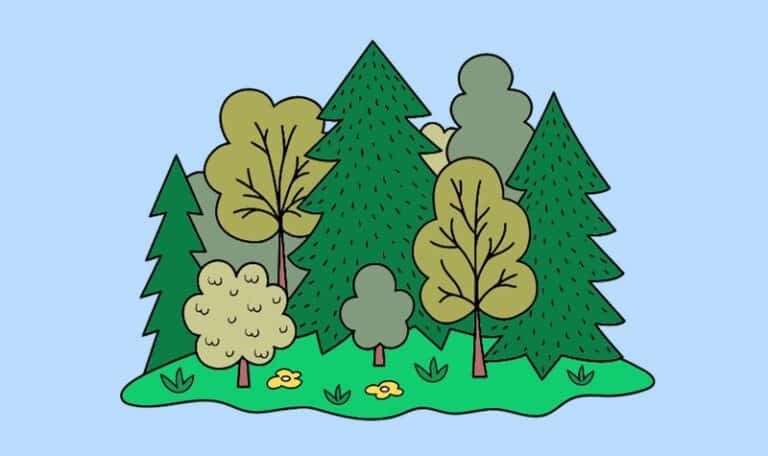 Coloriage forêt : 15 dessins à imprimer