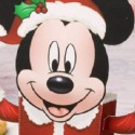 Boîte à bonbons de Noël Mickey