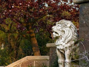phantom manor