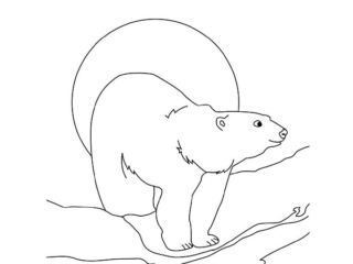 colorier des animaux