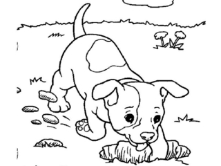 coloriage animal