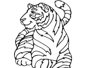dessin tigre