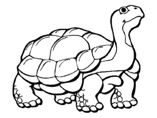 colorier des animaux