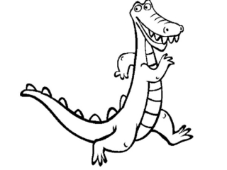 coloriages animaux