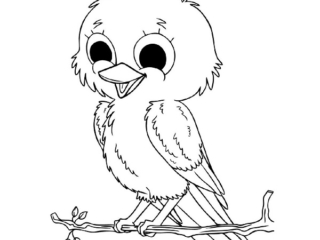 coloriages d&#039;animaux