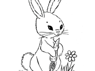 coloriage animaux