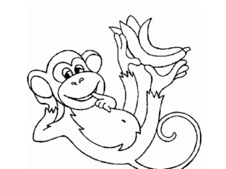 dessins animaux