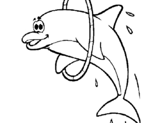 coloriage dauphin