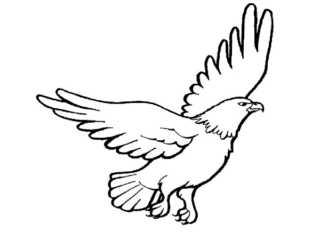 animaux à colorier