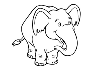 colorier des animaux