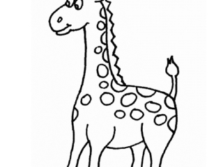 coloriages animaux