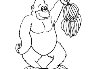 coloriage gorille