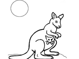 animaux à colorier