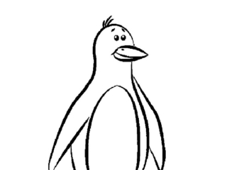 dessin pingouin
