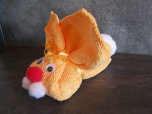 faire un lapin facile
