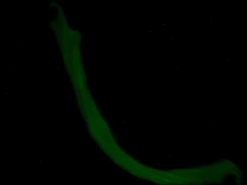slime phosphorescent
