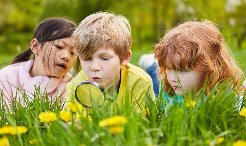 science et chasse au trésor de la nature