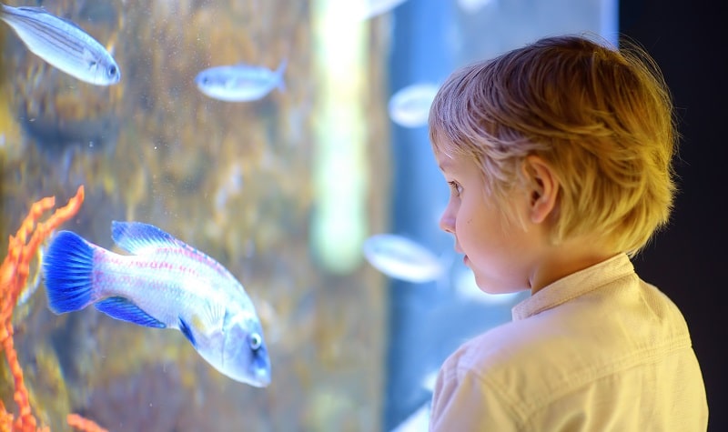 Sorties science et nature enfants