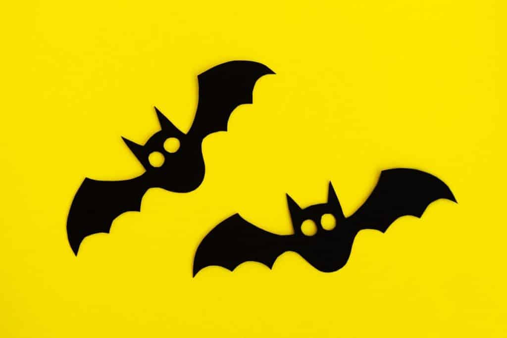 chauve souris en papier