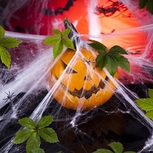 décoration halloween