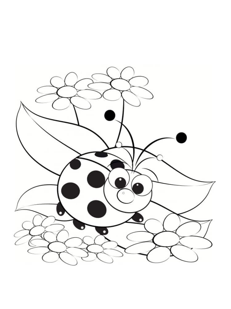 coloriage coccinelle 20 modeles a imprimer