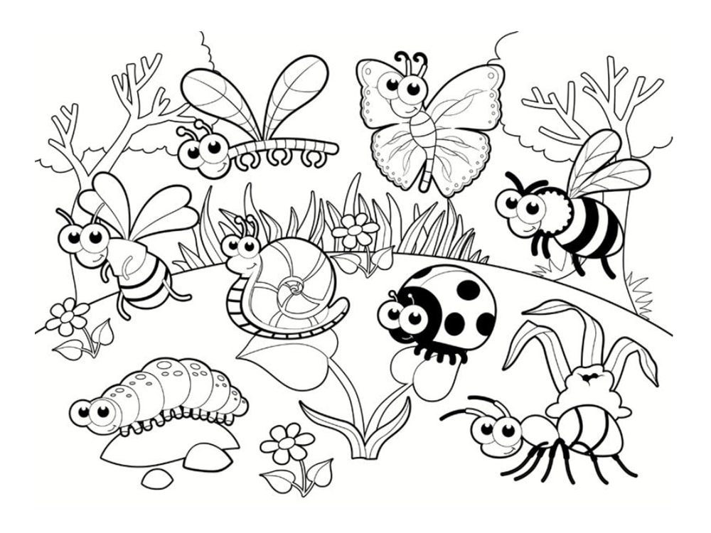 Coloriage Coccinelle