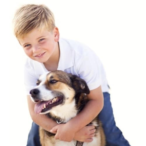 How To Adopt Therapy Dog How To Adopt Therapy Dog