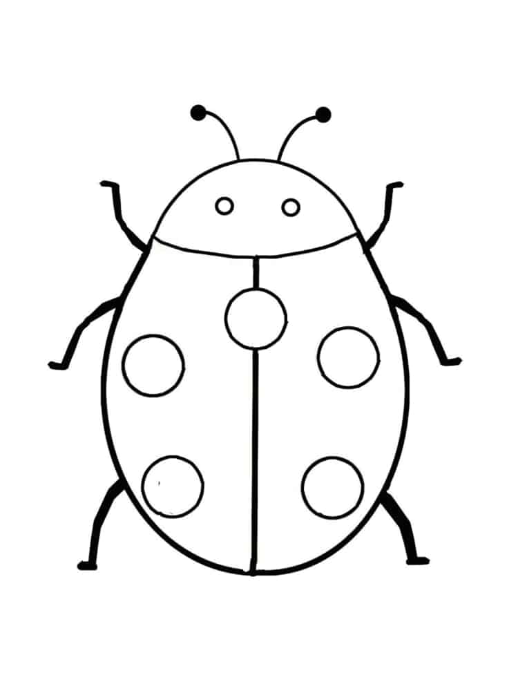 coloriage coccinelle 20 modeles a imprimer