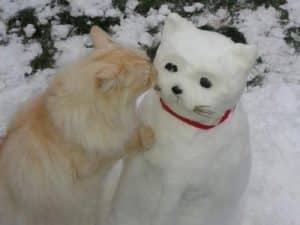 photo bonhomme neige