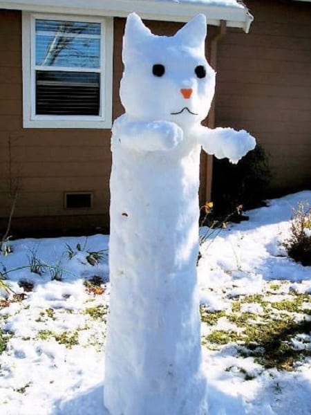 faire un bonhomme de neige