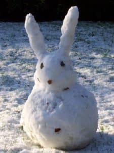 bonhomme neige