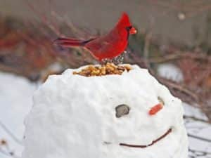 bonhomme neige créatif
