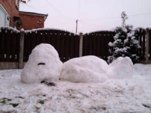 bonhomme de neige photo