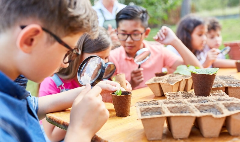 Comment choisir un camp d'été